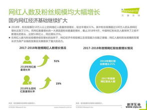 2018年中國(guó)網(wǎng)紅經(jīng)濟(jì)發(fā)展研究報(bào)告 網(wǎng)絡(luò)技術(shù)開發(fā)與信息咨詢的驅(qū)動(dòng)力量